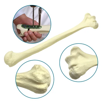 Медицинская модель плечевой кости для сверления, модель кости кортикальной оболочки из пенопласта