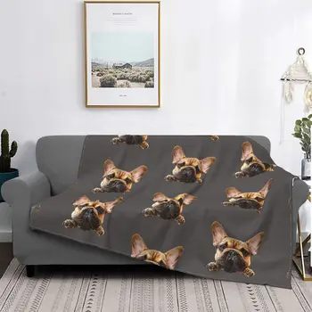 Одеяло для собак French Bulldog Frenchie Cuteness, фланелевое летнее одеяло для щенков, легкие пледы для дома, постельное белье для спальни