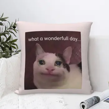 Мемы о плачущей кошке, Какой чудесный день, квадратная наволочка из полиэстера, наволочка для домашнего декора по индивидуальному заказу